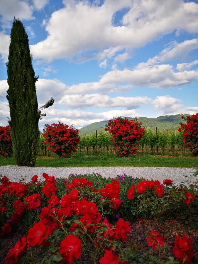 Вилла Pizzulin - Wine & Living Prepotto  Экстерьер фото