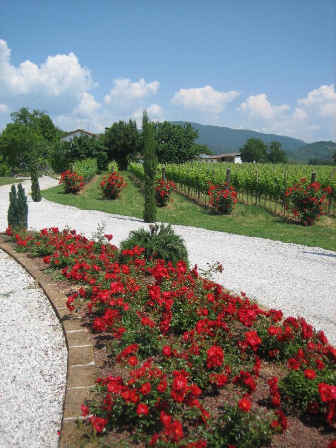 Вилла Pizzulin - Wine & Living Prepotto  Экстерьер фото