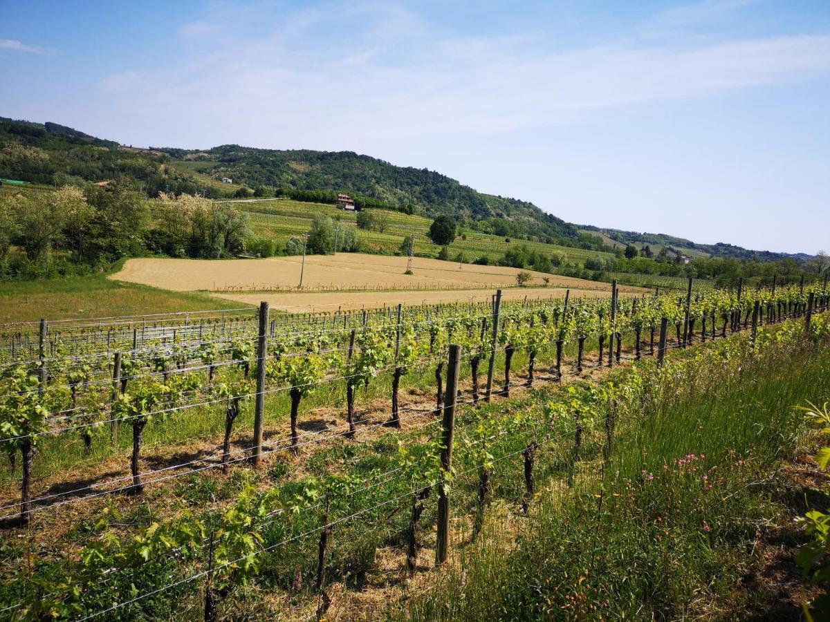 Вилла Pizzulin - Wine & Living Prepotto  Экстерьер фото
