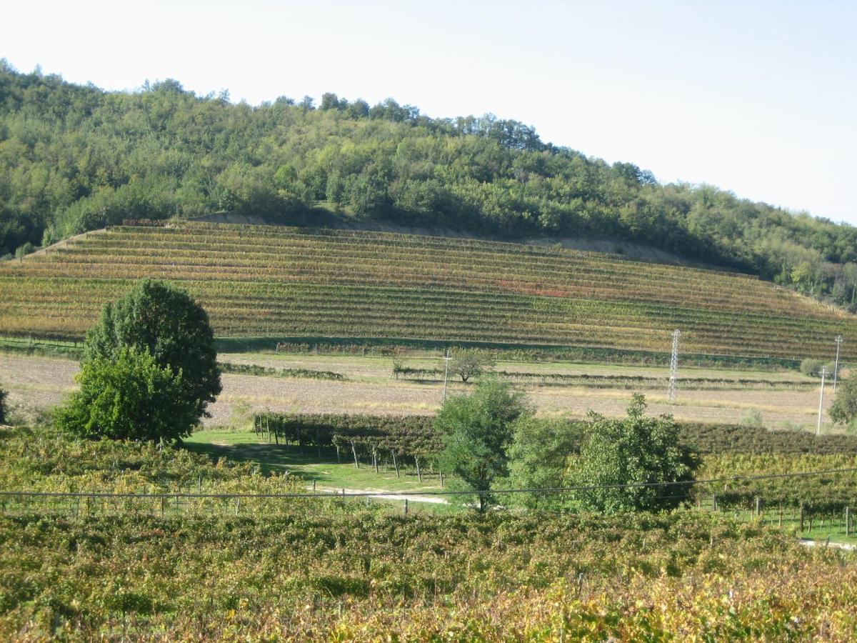 Вилла Pizzulin - Wine & Living Prepotto  Экстерьер фото